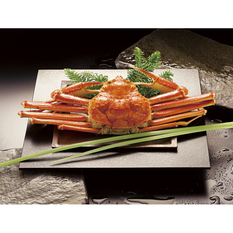ボイルずわいがに姿 450g×1尾 ZHB451N[ty]