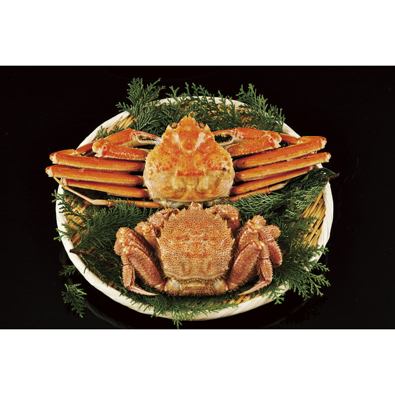 Υѡ Ź㤨֤襤Ӥ2å 50-40[ty]פβǤʤ10,584ߤˤʤޤ