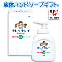 【在庫あり】ライオン キレイキレイ 薬用液体ハンドソープ250ml ギフト箱入 BPPHY【引越し 挨拶 ギフト 粗品 品物 引っ越し挨拶ギフト さっぱり 風邪...