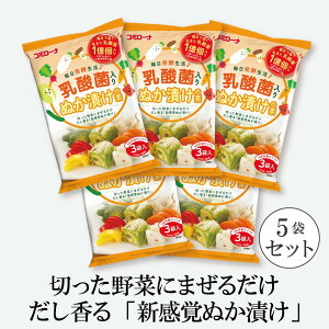 【新発売】 乳酸菌入り ぬか漬けの素 5袋セット 送料無料 浅漬けの素 粉末 漬物の素 粉 漬け物の素 浅漬の素 漬け物 漬物 あっさり漬 白菜漬け 白菜 胡瓜漬け きゅうり漬け 茄子漬け 乳酸菌 菌活 腸活 ゆうパケット コーセーフーズ コミローナ こうじや里村