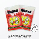 【送料無料】 朝鮮漬の素 (白菜14kg用)×2袋 キムチ漬けの素 キムチ漬け キムチの素 朝鮮漬けの素 手作り 朝鮮漬 朝鮮漬け 焼肉のたれ ベジレンド 厚生産業 コーセーフーズ こうじや里村