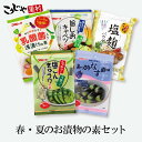 【送料無料】新セット品 春夏のお漬物おためしセット 漬け物の素 ゆうパケット 浅漬け 漬け物 粉 浅漬けの素 粉末 塩麹 塩麹パウダー 旨しおキャベツ やみつき...