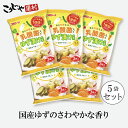乳酸菌入り ゆず漬けの素 48g(16g×3)×5袋 送料無料 浅漬けの素 粉末 漬物の素 腸活 菌活 浅漬の素 あっさり漬 白菜漬け きゅうり漬け なす漬けの素 柚子 簡単 野菜 一品 こうじや里村 コーセーフーズ コミローナ 手作り漬け物 漬物 ゆず漬 柚子漬け