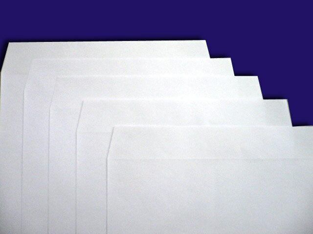 角6封筒 白菊100g 枠なし 500枚 2