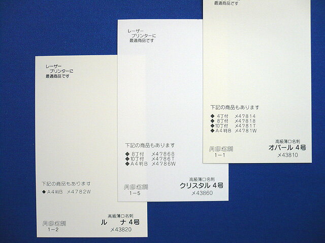 ̾��(1��Ƚ)���ѡ���4��1,000��(�Х˥鿧�ϡ�