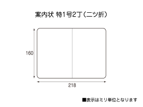 218mm×160mm