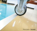 ★5/9-16 P最大27倍★【全国配送可】-エコクリーン粘着マット用アルミスロープ 900×60mm 厚み6mm エクシール 型番 CO00-40004 JAN 4514851006297 aso 1-3456-23 ●お取寄品 納期約 13営業日-【医療・研究機器】(4)