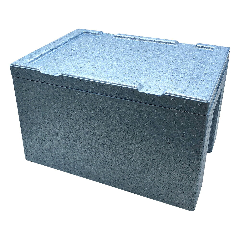 ★ポイント最大16倍★【全国配送可】-P-ボックス（ポリプロピレン製）　38L その他 型番 J-38（36×） aso..