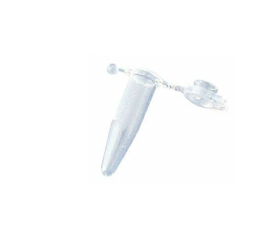 ݥȺ16ܡġ-ޥ塼֥åա0.6mL1000 Thermoscientific  L-5...