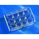 ★ポイント最大16倍★【全国配送可】-マルチプルウェルプレート 12ウェル 平底 1箱(1枚×50袋入) Corning(Falcon) 型番 3513 aso...