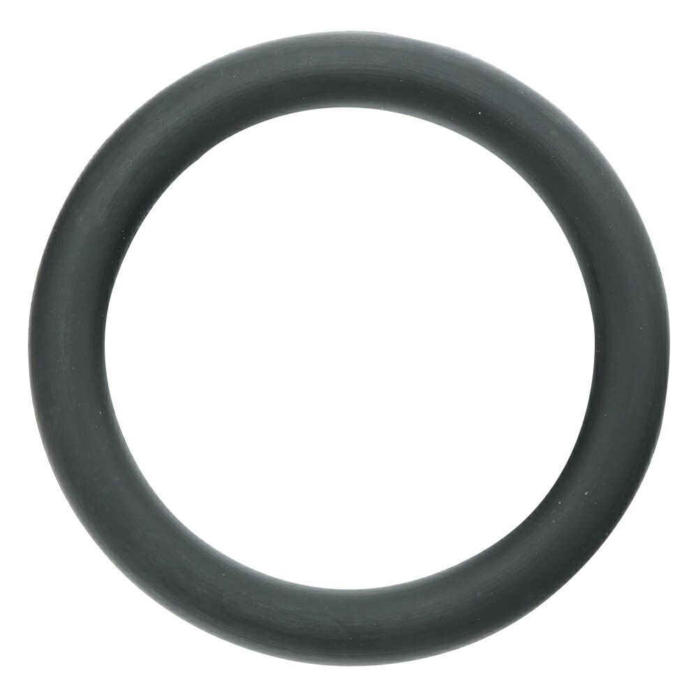 ★ポイント最大16倍★【全国配送可】-フッ素ゴムOリング（フロロプラス（TM）） ニチアス 型番 P-15 　JA..