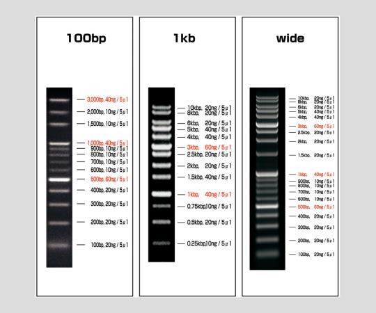 ●容量：500uL(100レーン分)●分子サイズ：100〜3000bp●入数：1本入●常温保存可能●※※事業者向け商品です※※ ●広告文責：株式会社コール・ミー　03-3533-9699 ●医療機具登録番号 ●商品品番 aso 2-9883...