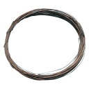 ★7/19-26 P最大27倍★【全国配送可】-熱電対素線 φ0.32mm×10m 1セット(2本入) その他 型番 CA-φ0.32 aso 3-3117-0...