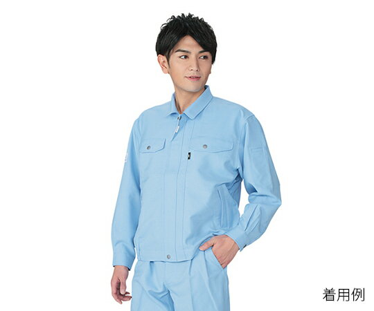 ★ポイント最大16倍★【全国配送可】-エコ高制電ブルゾン サックス L 自重堂 型番 80400-016-L JAN 4932309371047 aso 3-714-04 ●お取寄品 納期約 5営業日-【医療・研究機器】