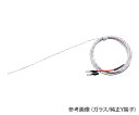 ★7/19-26 P最大27倍★【全国配送可】-超極細K熱電対 Φ0.013mm アンベエスエムティ 型番 KFT-13-200-200(Y) aso 3-75...