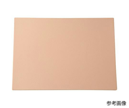 ★ポイント最大16倍★【全国配送可】-バイオスキンプレート　A4サイズ　ウレタン　Rough ビューラックス ..