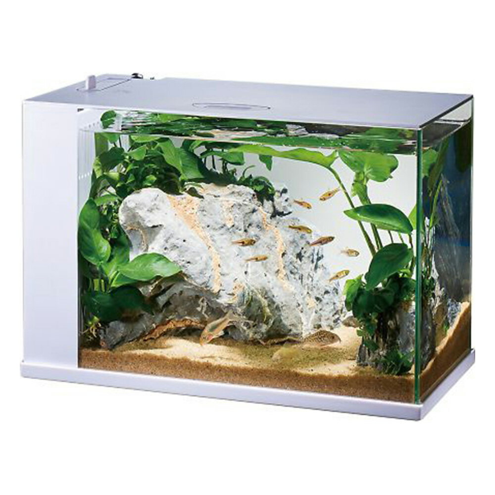楽天市場】水槽セット 60cm（医薬品・コンタクト・介護）の通販