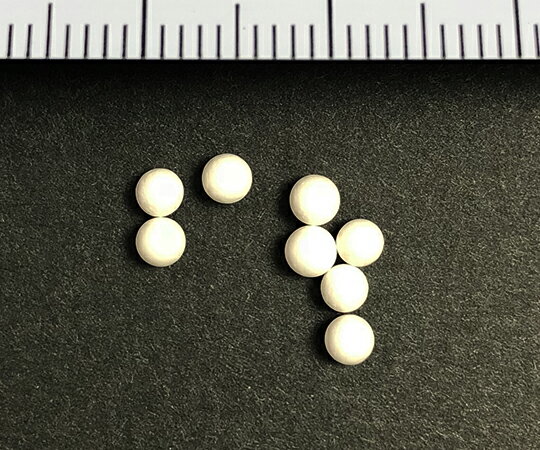 ★ポイント最大16倍★【全国配送可】-ビーズ式粉砕機　セラミックビーズ（φ2.8mm） ...