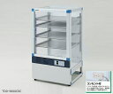 ★9/4-11 P最大27倍★【全国配送可】-デジタルドライデシケーター S-Series 574×522×1076mm アズワン 型番 TDD-S600CSC...