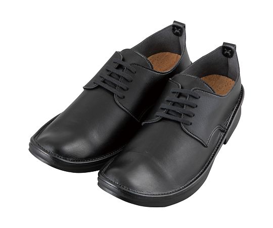 ★いまだけ！ポイント最大16倍★【全国配送可】-ドクターシューズ　25.0cm その他 型番 HN 25 aso 7-1331-02 ●お取寄品　納期約 24営業日-【医療・研究機器】