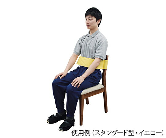 ★12/19-26 最大P27倍★【全国配送可】-トランスポートベルト　スタンダード型　L　グレー 特殊衣料 型番 - 　JAN 4521573013236 aso 7-6726-04 ●お取寄品　納期約 10営業日-【医療・研究機器】