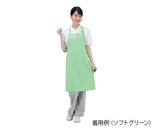 ★ポイント最大16倍★【全国配送可】-抗ウイルスエプロン　Dr.Earth(R)　首掛け　アースブルー ワコウ 型番 E3500-1 　JAN 4991097520242 aso 7-779-02 ●在庫品 納期約 3営業日-【医療・研究機器】