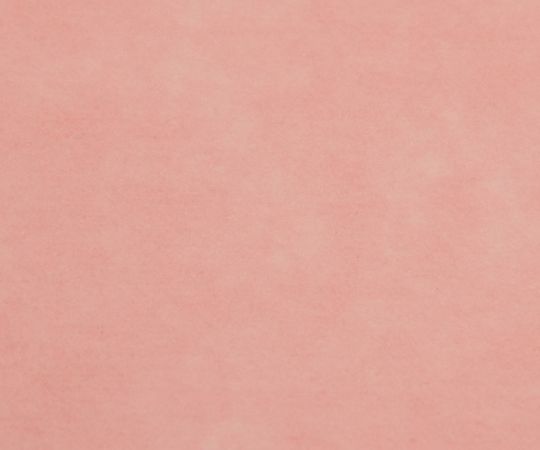 ★ポイント最大16倍★【全国配送可