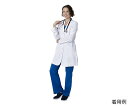 ★ポイント最大16倍★【全国配送可】-THE WHITE COAT レディス白衣(モダニストシリーズ) L相当 Healing Hands 型番 5101-M ...