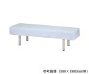 ★ポイント最大16倍★【全国配送可】-診察台カバー 綿100% 700×1900mm用 ナビス(アズワン) 型番 NF-709 JAN 4589638409349 aso 7-9801-06 ●在庫品 納期約 3営業日-【医療・研究機器】(4)