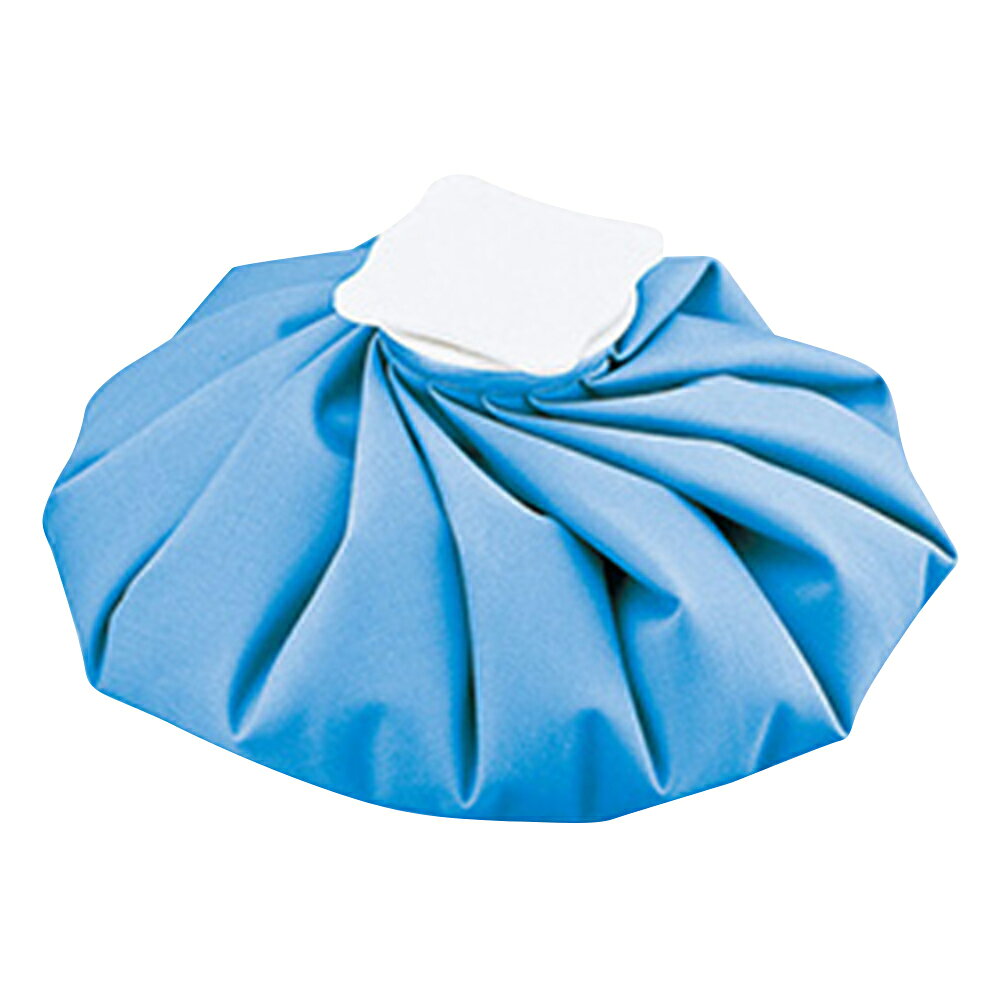 ★1/9-16 P最大27倍★【全国配送可】-ナビアイスバッグ　ブルー　L ナビス（アズワン） 型番 - 　JAN 4589638324581 aso 8-1218-13 ●在庫品 納期約 3営業日-【医療・研究機器】