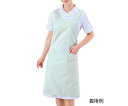 ★ポイント最大16倍★【全国配送可】-エプロン (男女兼用/ポケット内ペン差し付き) ミント/M 住商モンブラン 型番 75-517 JAN 4560315453602 aso 8-4436-01 ●お取寄品 納期約 8営業日-【医療・研究機器】