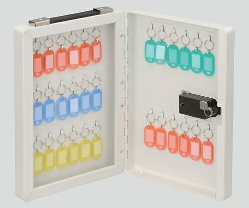 ★ポイント最大16倍★【全国配送可】-ダイヤル式キーボックス 30個 ナカバヤシ 型番 NKB-D03 　JAN 4902205969921 aso 8-8307-02 ●在庫品 納期約 3営業日-【医療・研究機器】