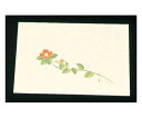 ★8/4-11 P最大27倍★【全国配送可】-尺三 懐石まっと クリーム(100枚入)WSS-16 椿(11月~1月) アーテック 型番 7961000 JAN 4560164139399 aso 61-6779-33 ●在庫品 納期約 6営業日-【医療・研究機器】