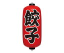 ★ポイント最大16倍★【全国配送可】-エアPOP 赤ちょうちん 餃子 イガラシ 型番 VAM-029 JAN 4970134180182 aso 62-6321-40 ●在庫品 納期約 7営業日-【医療・研究機器】(4)