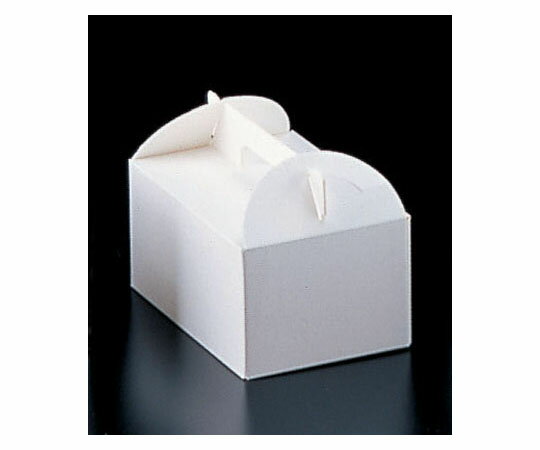 ★ポイント最大16倍★【全国配送可】-エコ洋生 キャリーボックス＃6 3号 200枚入 TKG 型番 WBT4002 JAN 4905001706448 aso 62-6579-67 ●在庫品 納期約 7営業日-【医療・研究機器】