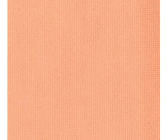 ★ポイント最大16倍★【全国配送可】-オリビア　テーブルクロス　シート　1000×1000（10枚入）オレンジ ..