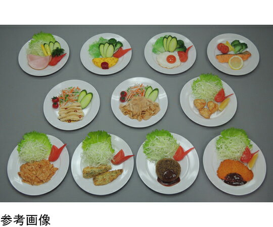 ★ポイント最大16倍★【全国配送可】-糖尿病フリーチョイス「主菜(1)」 豚カツ （磁石なし） イワイサン..