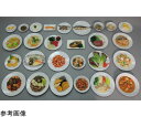 ★11/4-11 P最大26倍★【全国配送可】-糖尿病フリーチョイス「主菜」 炒り豆腐 （磁石なし） イワイサンプル 型番 23-8 aso 65-2789-55 ●お取寄品　納期約 17営業日-【医療・研究機器】