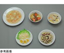 ★7/19-26 P最大27倍★【全国配送可】-糖尿病フリーチョイス「副菜3」 肉じゃが (磁石なし) イワイサンプル 型番 26-2 aso 65-2789-90 ●お取寄品 納期約 17営業日-【医療・研究機器】(4)