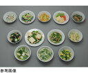 ★ポイント最大16倍★【全国配送可】-糖尿病フリーチョイス「副菜4」 ふきと高野豆腐の含め煮 (磁石なし) イワイサンプル 型番 27-4 aso 65-2789-98 ●お取寄品 納期約 17営業日-【医療・研究機器】