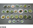 ★5/23-27 P最大27倍★【全国配送可】-糖尿病フリーチョイス「副菜」 野沢菜漬け (磁石なし) イワイサンプル 型番 28-23 aso 65-2790-31 ●お取寄品 納期約 17営業日-【医療・研究機器】(4)