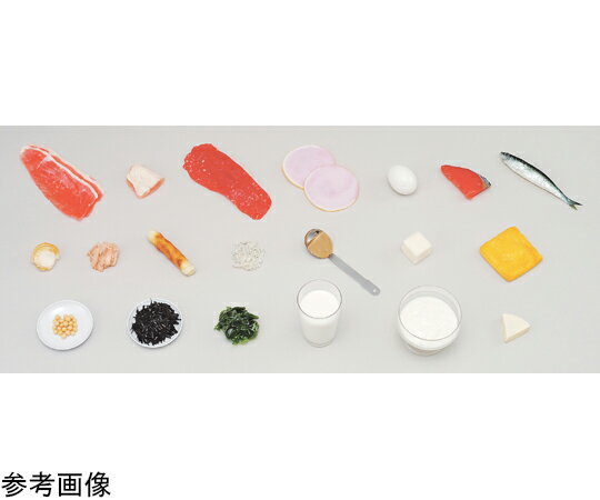 ★ポイント最大16倍★【全国配送可】-学校給食指導用・食品モデル ハム 40g （磁石付） イワイサンプル ..