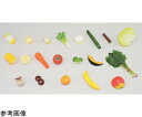 ★7/19-26 P最大27倍★【全国配送可】-学校給食指導用・食品モデル(食材) たまねぎ 50g (磁石付) イワイサンプル 型番 55G-3 aso 65-2792-30 ●お取寄品 納期約 17営業日-【医療・研究機器】