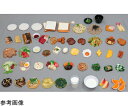 ★11/4-11 P最大26倍★【全国配送可】-食品交換表に基づいた調理交換モデル かけうどん （磁石なし） イワイサンプル 型番 SKM-7 aso 65-2793-32 ●お取寄品　納期約 17営業日-【医療・研究機器】