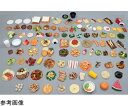 ★6/4-11 P最大27倍★【全国配送可】-食品交換表に基づいた調理交換モデル すいか100g (磁石なし) イワイサンプル 型番 SKM-100 aso 65-2794-31 ●お取寄品 納期約 17営業日-【医療・研究機器】