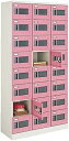 ★8/4-11 P最大27倍★【全国配送可】- ロッカー スクールロッカーハイタイプ窓付コクヨ 品番 SLK-HTW24KF1 ナチュラルグレー atk 520...
