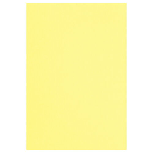 ★9/4-11 P最大27倍★【在庫品は翌営業日発送】-ato6533-8261 パ)色画用紙 八つ切 クリーム 30枚 1ケ 65338261 カウネット 4212-9776 -【@オフィス】