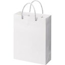 ★合計\3,980以上で送料無料★【在庫品は翌営業日発送】-ato6661-4067 ビニールカバー手提げ袋 A4 10枚 1ケ 66614067 カウネット ...