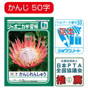★6/4-11 P最大27倍★【教育施設様限定商品】-ed 100716 ジャポニカ学習帳 かんじれんしゅう/漢字練習帳(2)84字 メーカー名 ショウワノート 001490-【教育・福祉】(4)