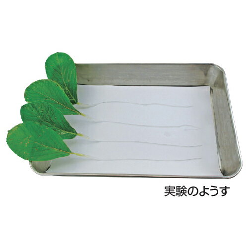 ★3/21-27 P最大27倍★【教育施設様限定商品】-ed 127615 蒸散実験セット メーカー名 G40-2391-【教育・福祉】
